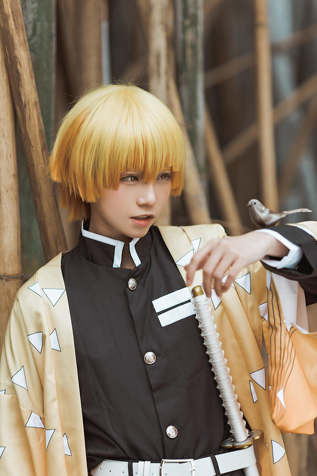 人气Coser@Kitaro_绮太郎 NO.060 鬼灭之刃 我妻善逸[30P-104MB] 网红写真-第1张